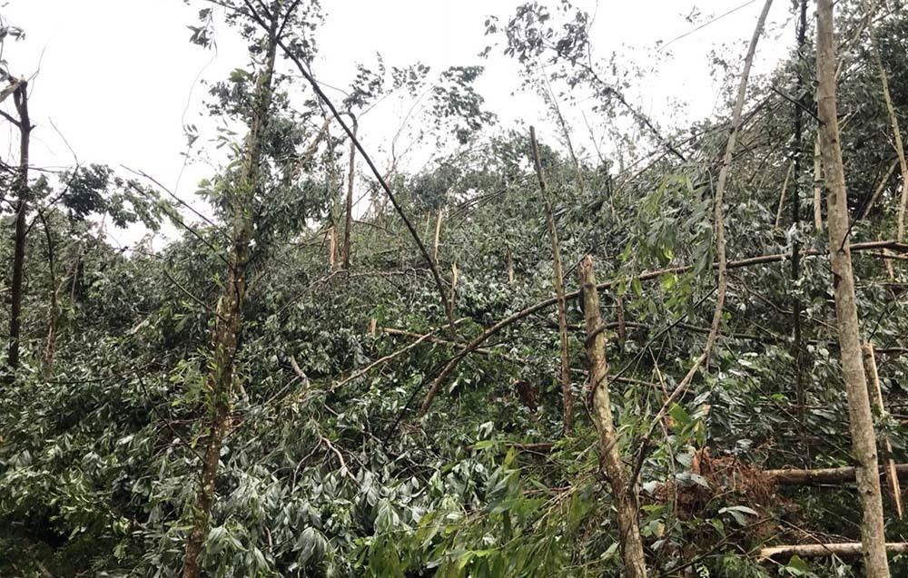 Mưa đá kèm lốc xoáy, hàng trăm ngôi nhà ở Nghệ An bị tốc mái