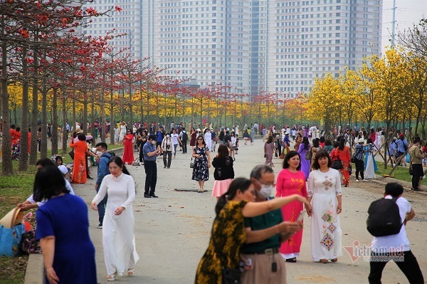 ‘Biển người’ đổ về tạo dáng bên hàng hoa phong linh đẹp ngất ngây ở Hà Nội