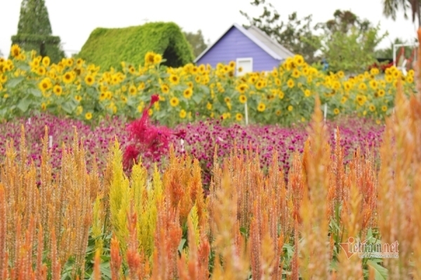 Trí tuệ cũng... sexy