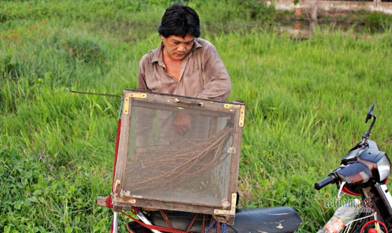 A strange job that only carries a racket to wade through the wilderness but lives well in the middle of the storm season