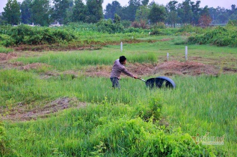 Nghề lạ chỉ xách vợt lội đồng hoang mà sống khỏe giữa mùa bão giá