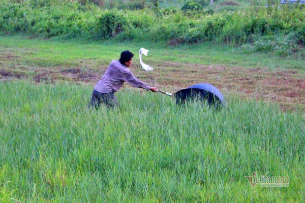 Nghề lạ chỉ xách vợt lội đồng hoang mà sống khỏe giữa mùa bão giá