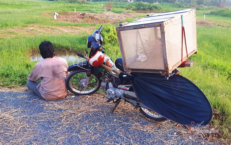 xe cào cào mini 70cc  bán cào cào 80cc  ban cao cao 85cc