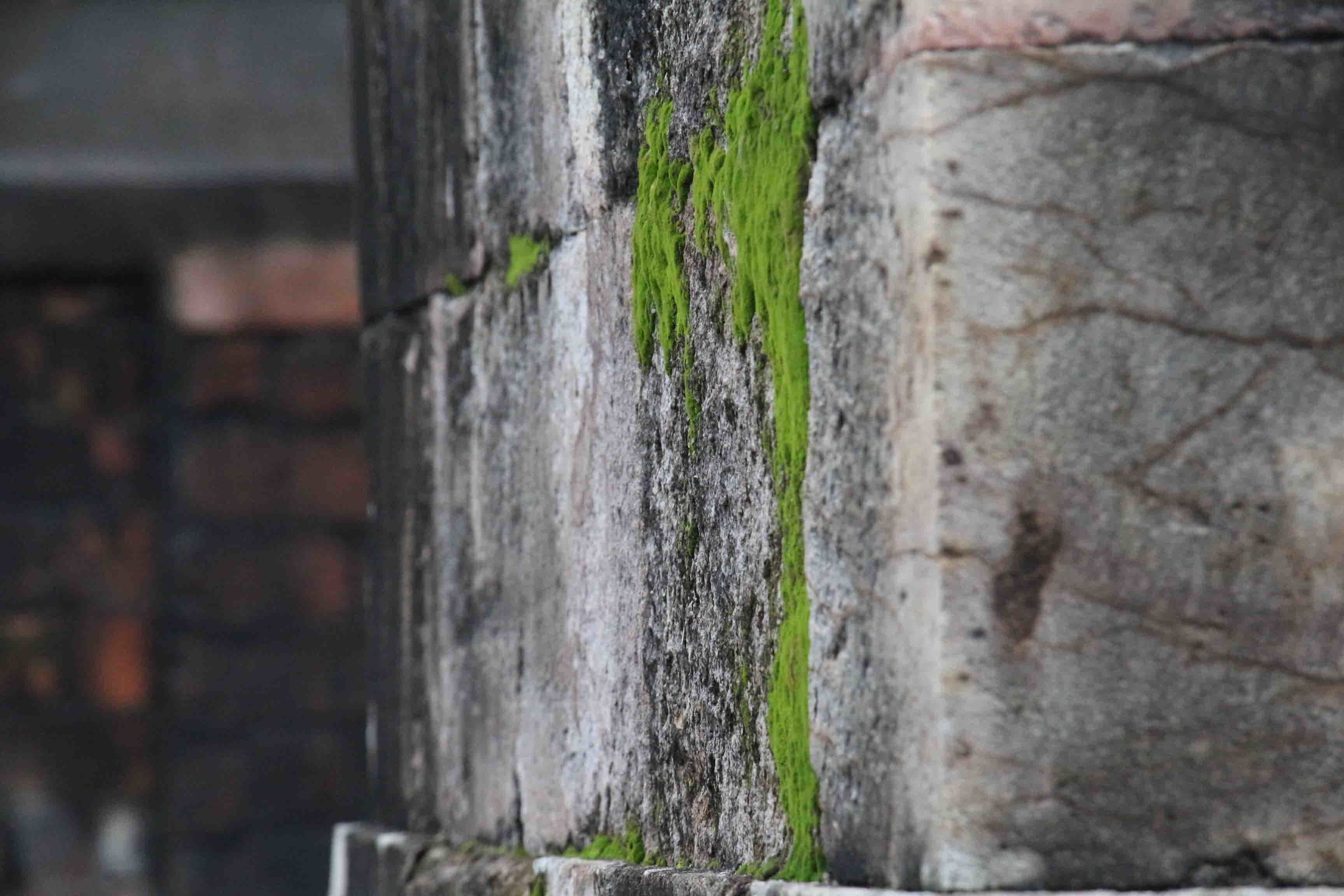 Ngắm tháp đá hơn 500 tuổi ở Hà Tĩnh