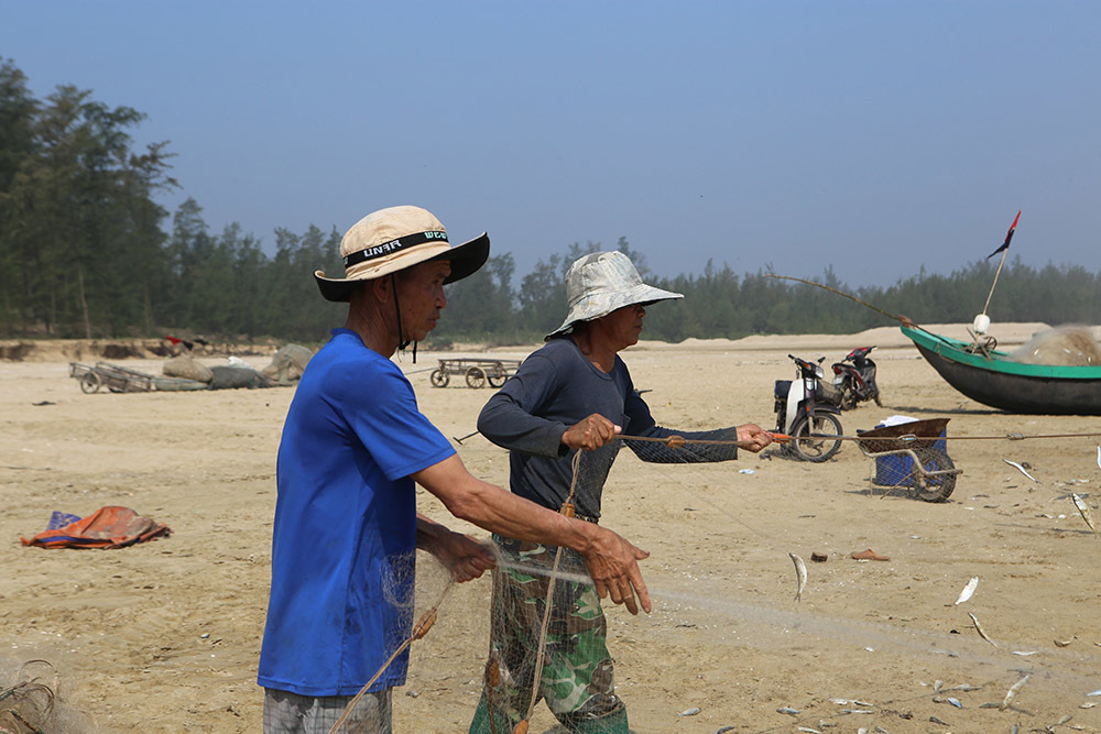 Half a day to the sea to collect tons of fish, fishermen cling to the shore to collect tens of millions