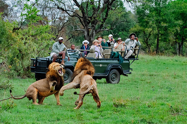 Chi 3 tỷ đến lục địa đen, khám phá 'chén thánh' và 'chơi' cùng sư tử