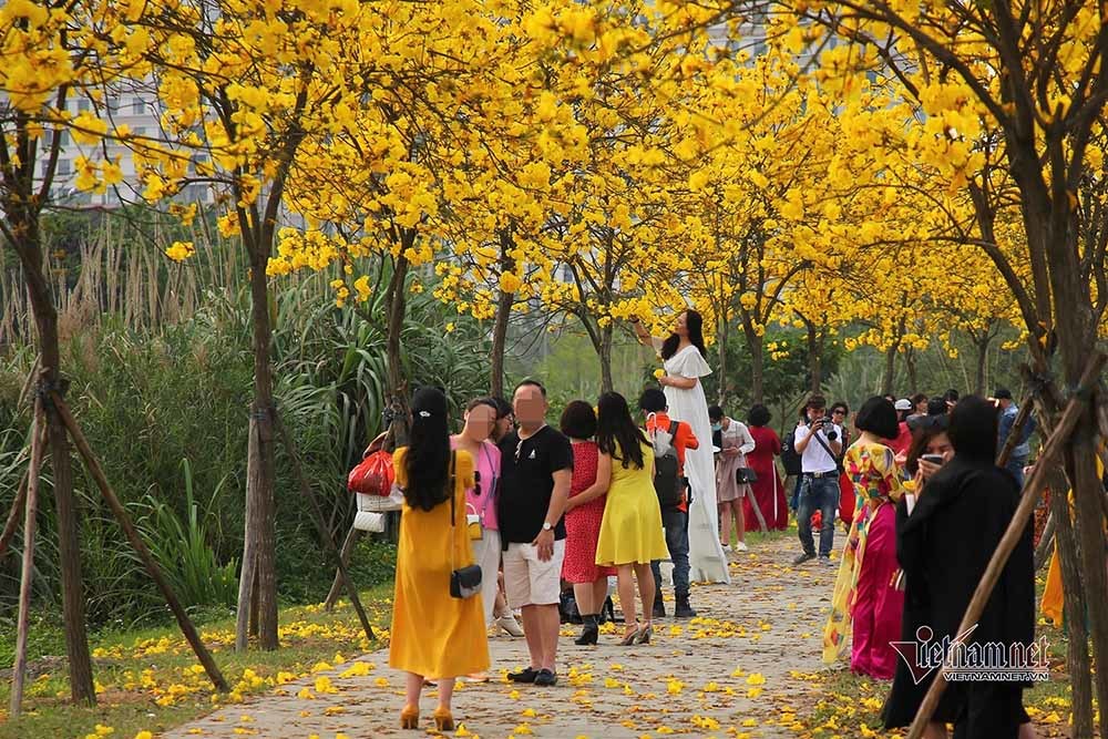 Đừng vì tấm ảnh đẹp đăng Facebook mà ‘ngủ quên’ trước đại dịch