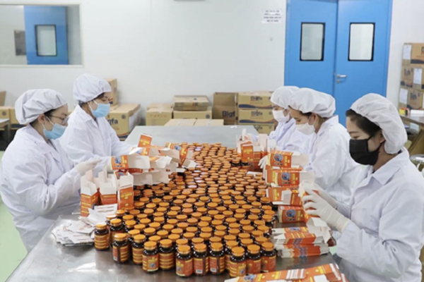 Hỗ trợ chăm sóc xương khớp ngày chuyển mùa bằng thảo dược