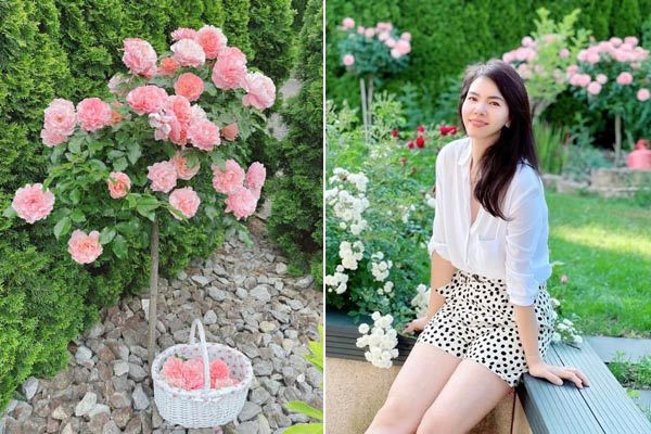 Khu vườn 300m2 ngập sắc hoa của&nbsp;vợ chồng thạc sĩ&nbsp;Việt ở Đức