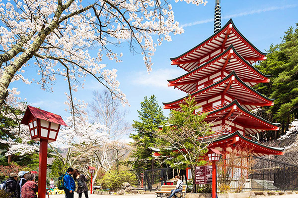 Nên đi du lịch Nhật Bản vào mùa nào, tháng mấy đẹp, lý tưởng nhất