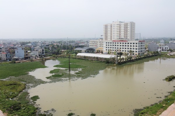 Auction plot of land 8 million/m2 after three months increased to 50 million in Thanh Hoa
