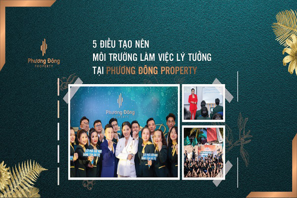 5 điều tạo nên môi trường làm việc lý tưởng tại Phương Đông Property