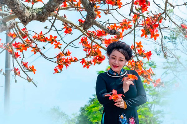 Trà My đẹp nao lòng với mùa hoa gạo tháng 3