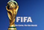 Danh sách 32 đội tuyển giành vé dự VCK World Cup 2022