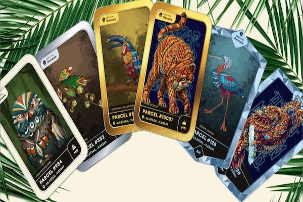 NFT tham gia bảo tồn đa dạng sinh học trong kỷ nguyên số