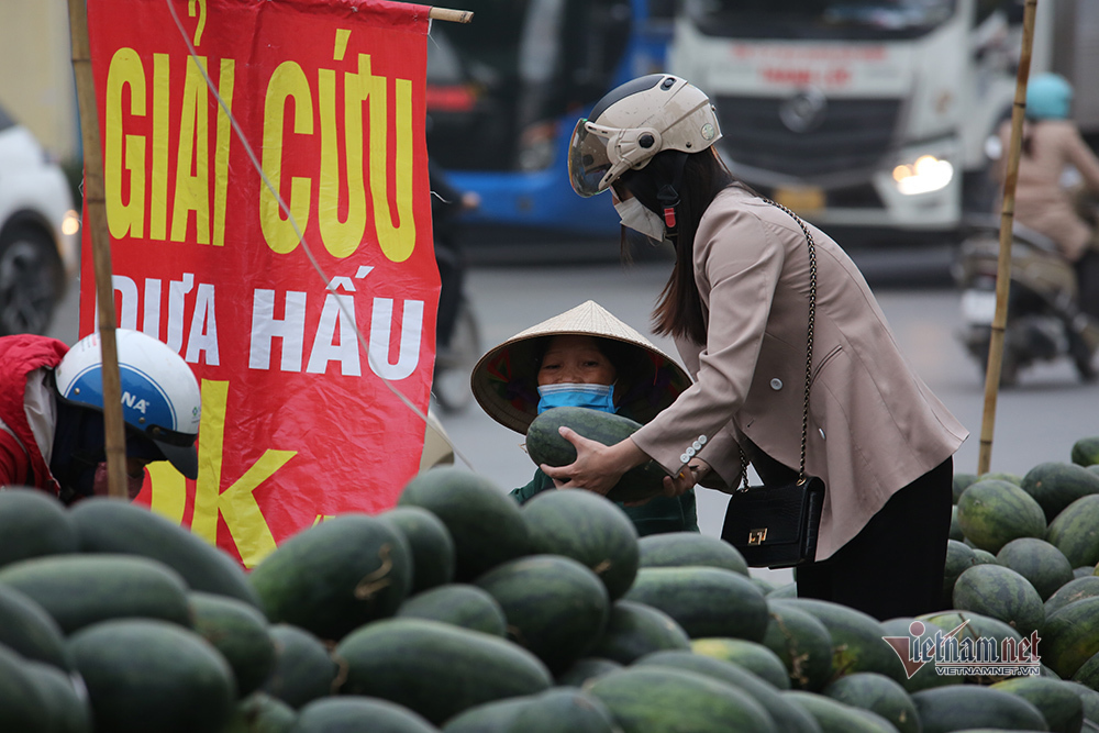 Dưa hấu nằm lăn lóc vỉa hè Hà Nội chờ giải cứu