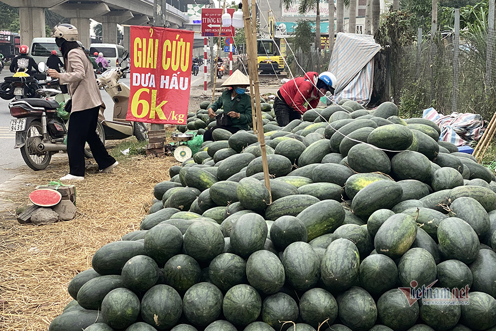 Hà Nội triền miên giải cứu: Những đống dưa hấu khắp vỉa hè