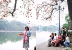 Cây gạo cổ thụ trổ hoa đỏ rực góc Hồ Gươm, chị em Hà thành mải mê chụp ảnh