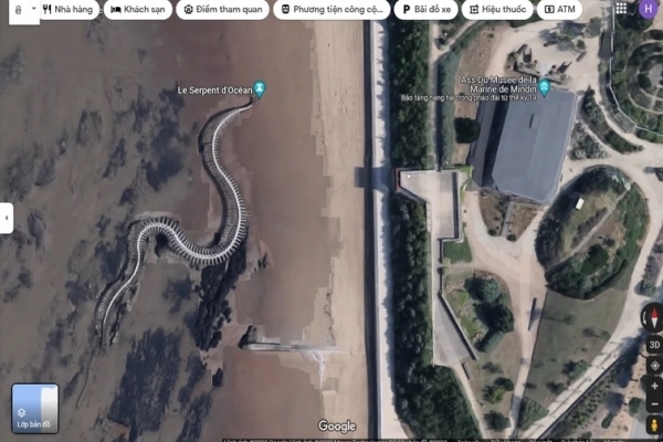 Bộ xương rắn khổng lồ xuất hiện trên Google Maps khiến dân mạng xôn xao
