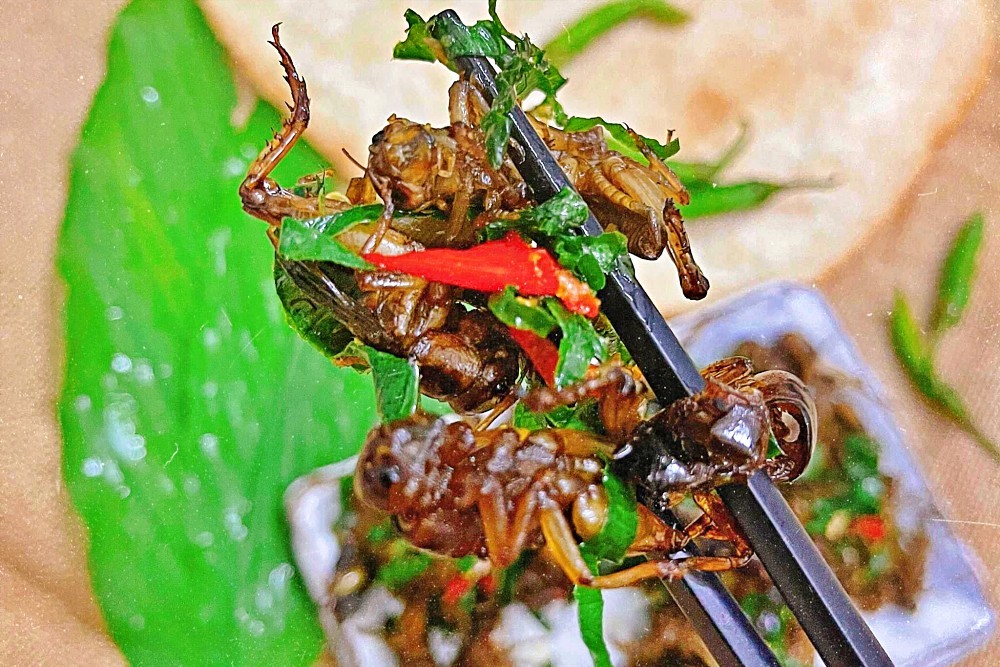Món côn trùng giòn rụm, đắt lạ, khách 'yếu tim' không dám động đũa ở Đồng Nai
