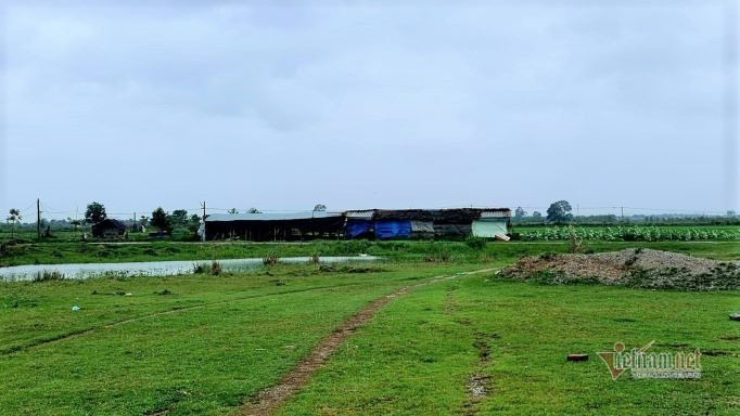 Nearly 10 years, FLC's trillion-dollar industrial park project in Thanh Hoa is still a vacant lot