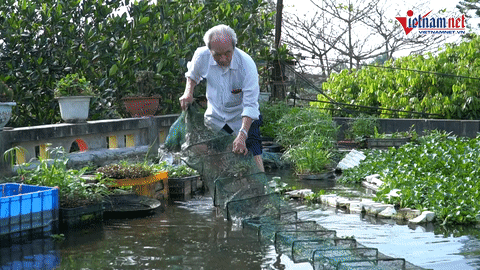 Cụ ông 87 tuổi vác gạch làm ao nuôi cá, trồng rau trên sân thượng